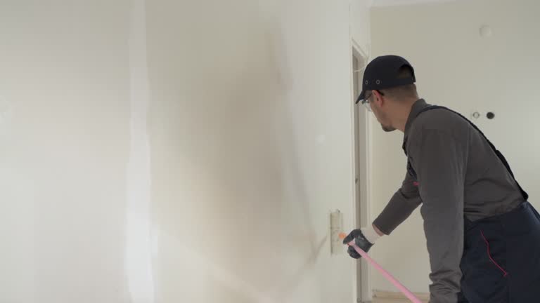 Best Drywall Patching  in Chatfield, MN